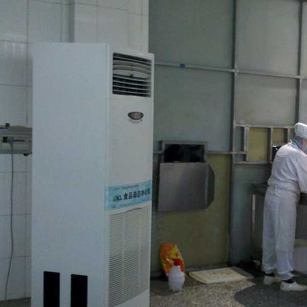 佛山食品正负离子空气杀菌器